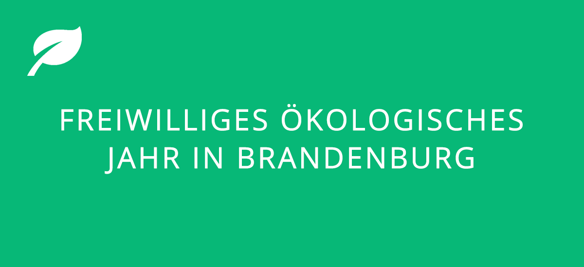 Logo: Freiwilliges Ökologisches  Jahr in Brandenburg