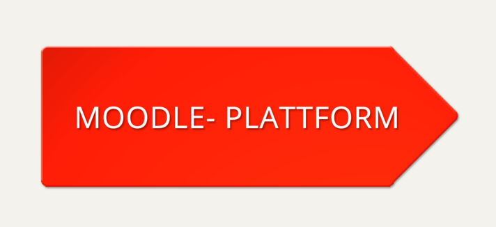 Moodle Platform